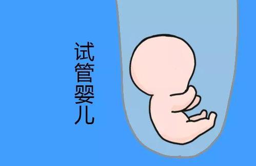 张暖春主任